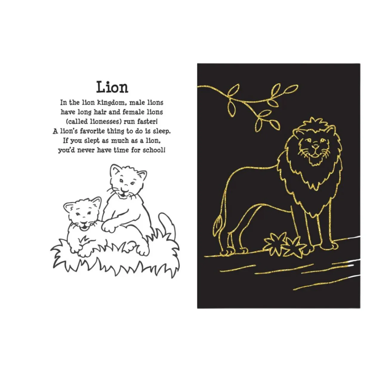 At the Zoo Scratch & Sketch| Sale