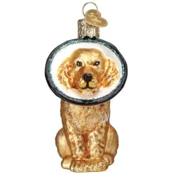 Cone Of Shame Injured Dog Blown Glass Ornament|Old World Glass New