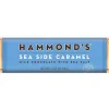 Hammond's Candies Natural Sea Side Caramel Milk Chocolate Candy Bar| Sale