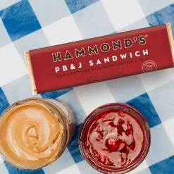 Hammond's Candies PB & J Sandwich Milk Chocolate Candy Bar| New