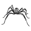 Jewel Eyed Spider| Best