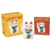 Lucky Cat Mini Kit| Outlet
