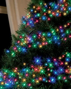 1512 LED Multi-Colored Cluster Lights Green Wire | The Christmas Loft|Lumineo