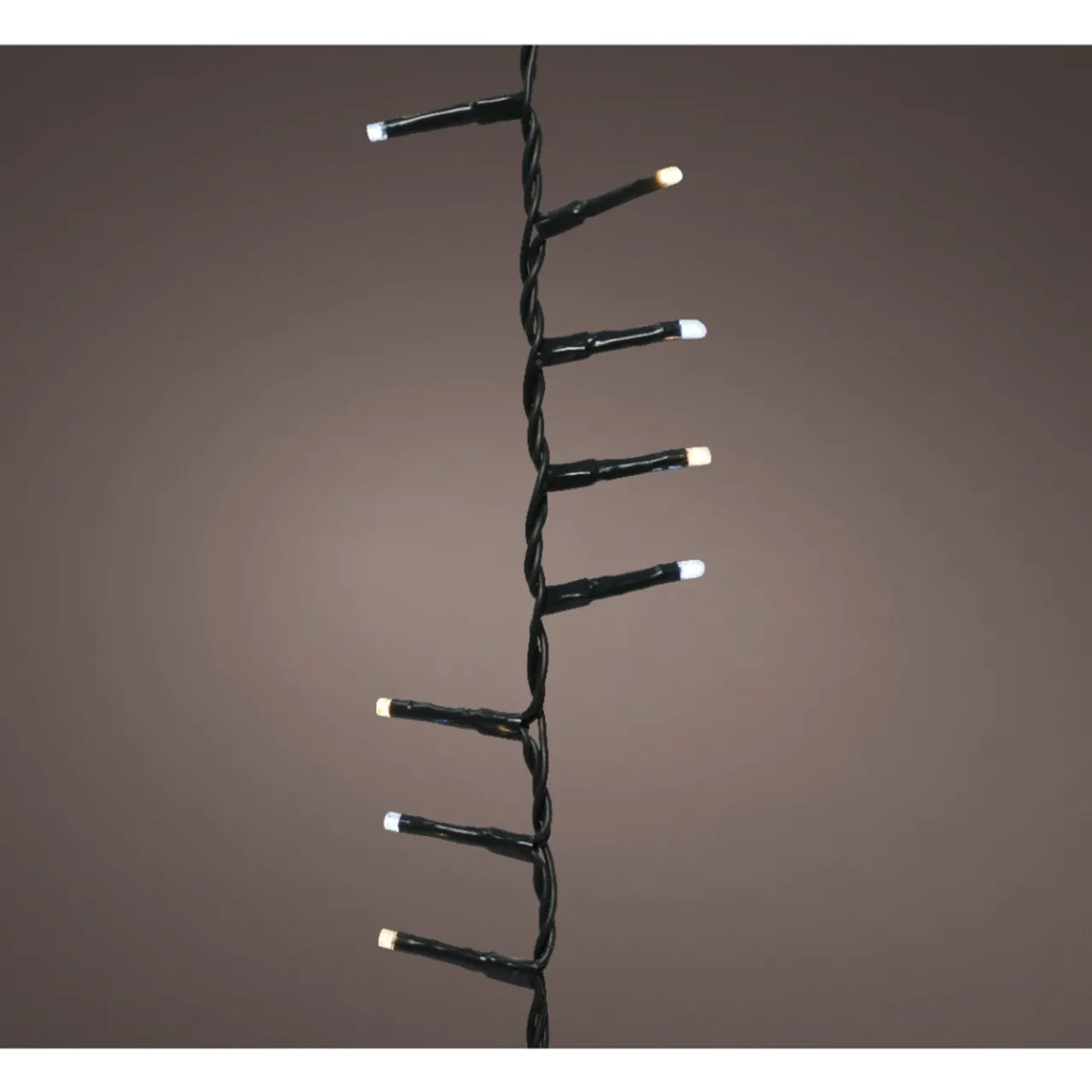 1,000 LED Warm And Cool White Compact Twinkle Lights|Lumineo Discount
