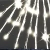 160 LED Warm White Flashing 27" Polestar Silver Wire | The Christmas Loft|Lumineo Sale
