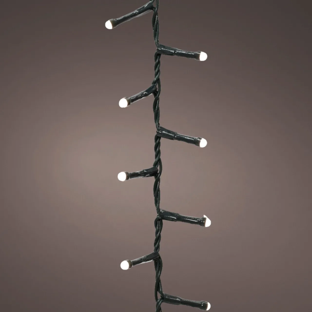 500 LED Warm White Soft Glow Compact Twinkle Lights|Lumineo Online
