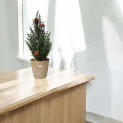 Mini Decorated Potted Tree| Hot