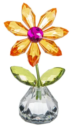 Orange Happy Flower Petal| Clearance