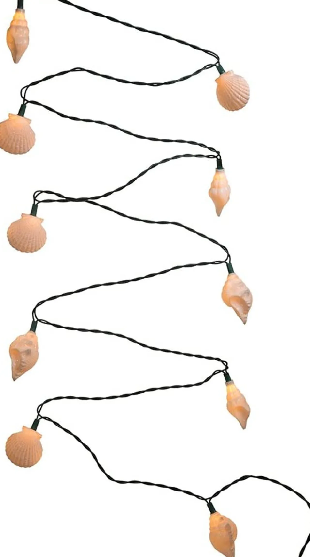 Shell and starfish light set|Kurt Adler