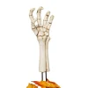Skeleton Hand Pathway Marker| Sale