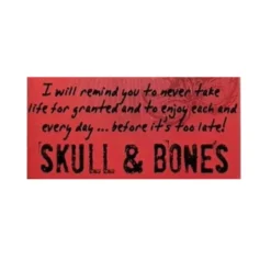 Voodoo Doll - Skull & Bones Charm| Online